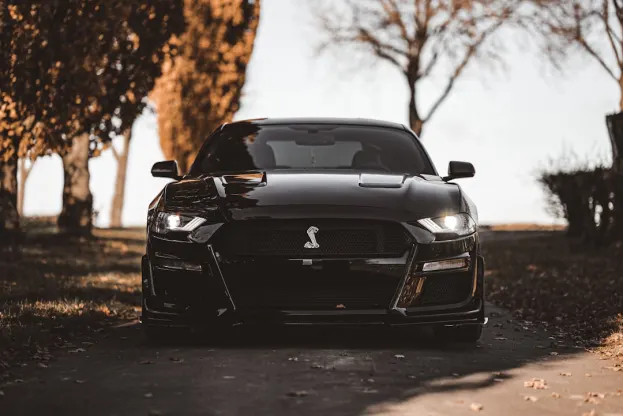 Рипър Казино Android/iOS приложение